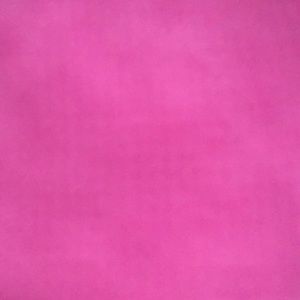 Meet your Posher, Lizzy